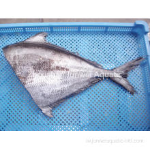 פרוזן HG Brama Brama באיכות גבוהה